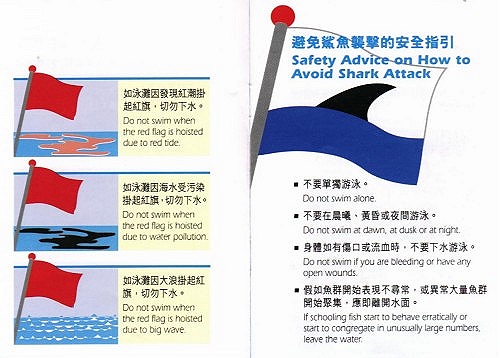 Safety Advice on How to Avoid Shark Attack